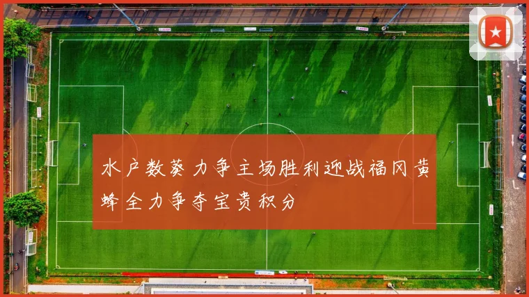 水户数葵力争主场胜利迎战福冈黄蜂全力争夺宝贵积分