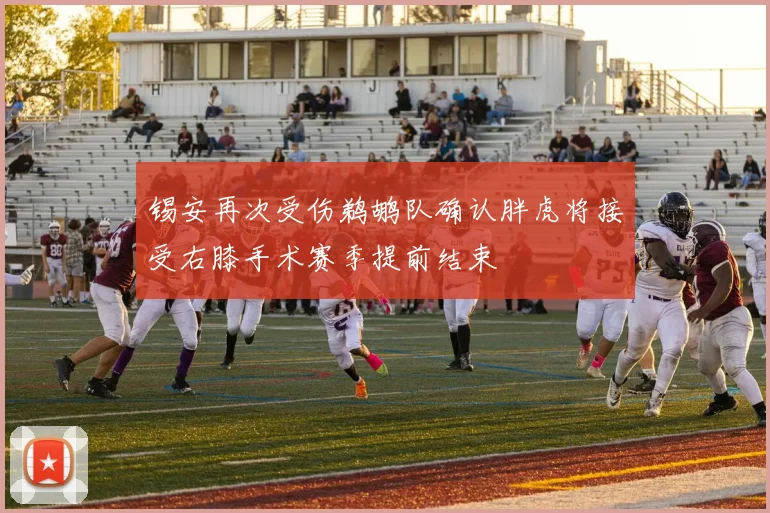 锡安再次受伤鹈鹕队确认胖虎将接受右膝手术赛季提前结束
