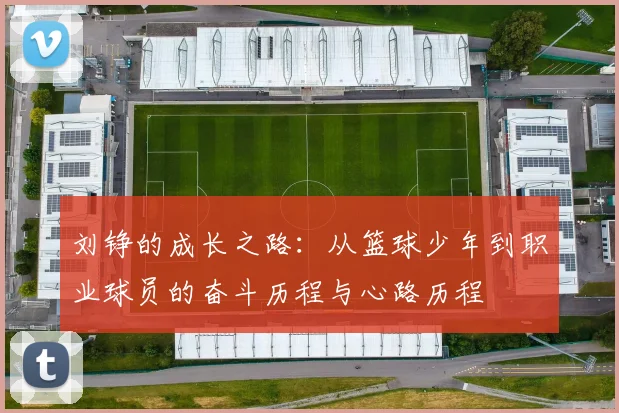 刘铮的成长之路：从篮球少年到职业球员的奋斗历程与心路历程