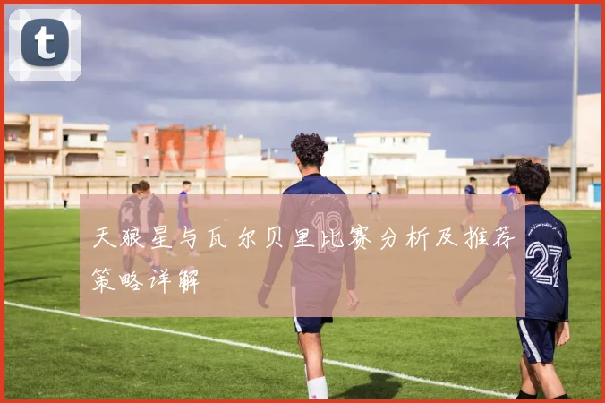 天狼星与瓦尔贝里比赛分析及推荐策略详解