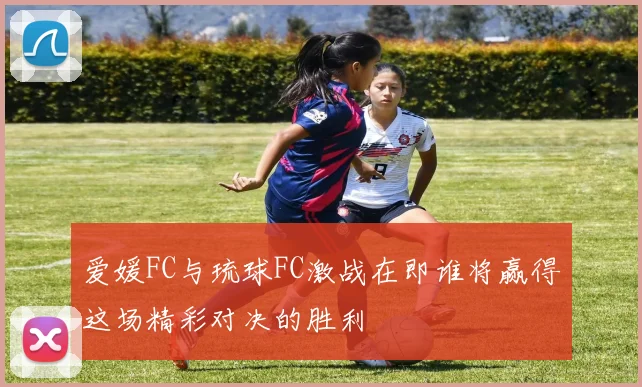 爱媛FC与琉球FC激战在即谁将赢得这场精彩对决的胜利