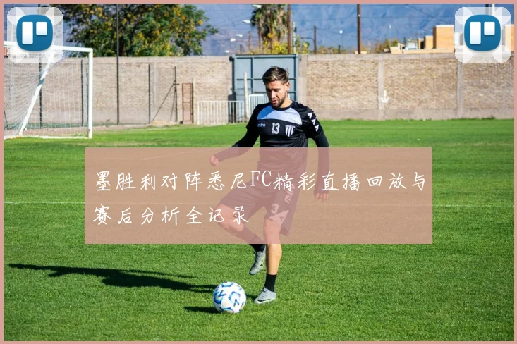 墨胜利对阵悉尼FC精彩直播回放与赛后分析全记录