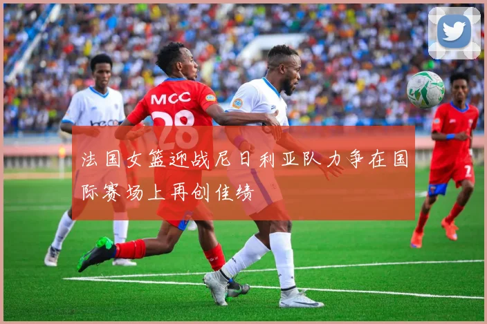 法国女篮迎战尼日利亚队力争在国际赛场上再创佳绩